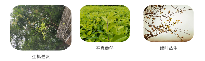 1556010462396193.png s.png